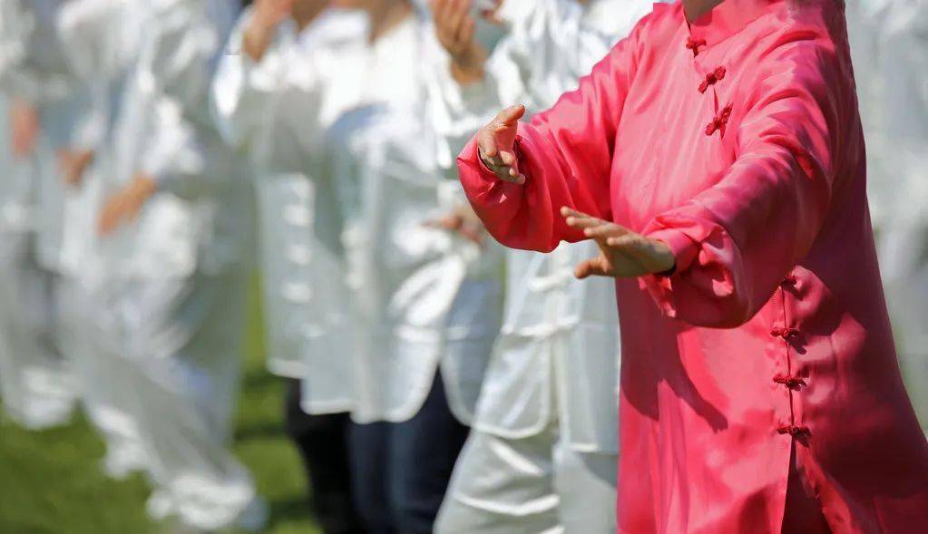 我想看养生太极拳(我想看养生太极拳视频)