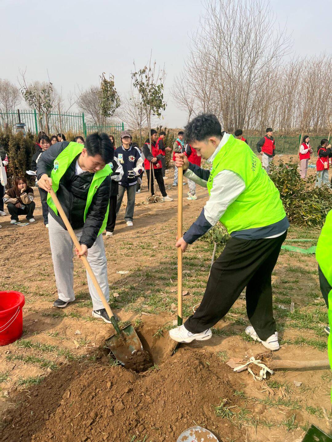 植树节学生植树照片图片