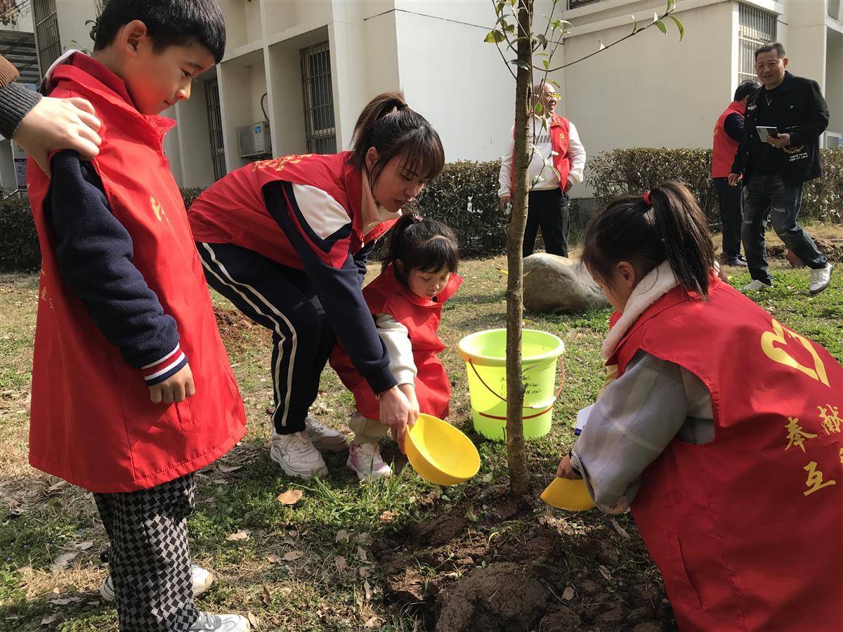 植树节活动图片大全图片