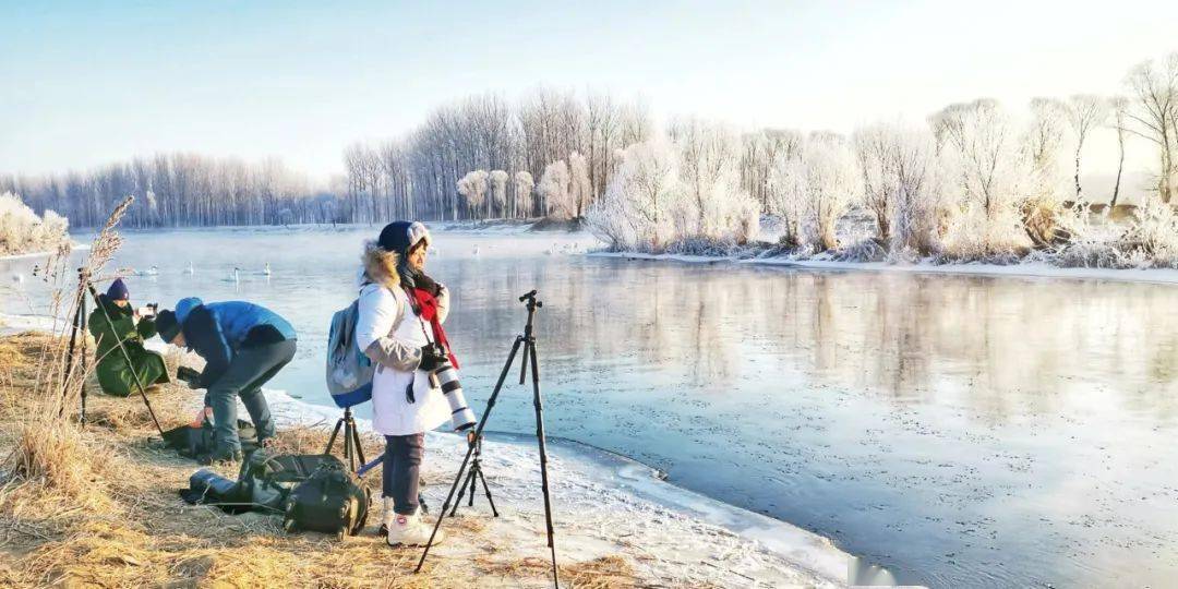 人文生态风光好 旅游经济"热"朝阳_湿地_游客_公园