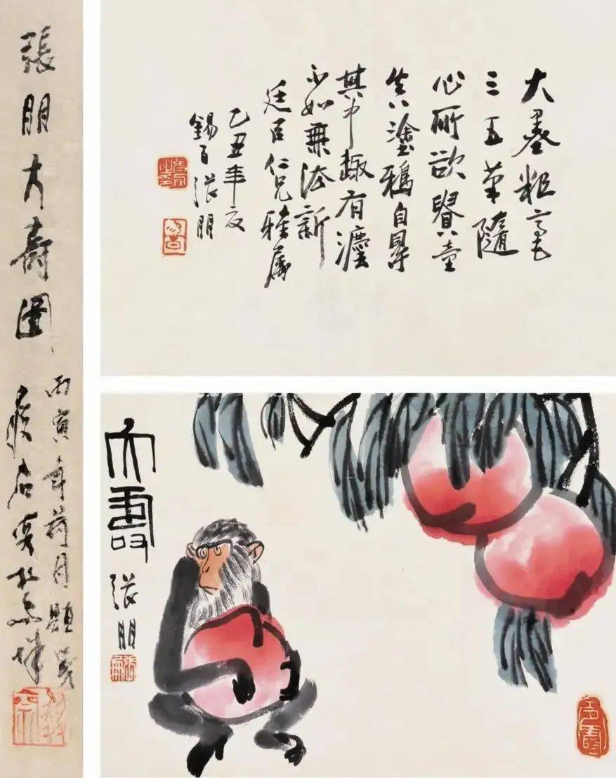 张朋_先生_张氏