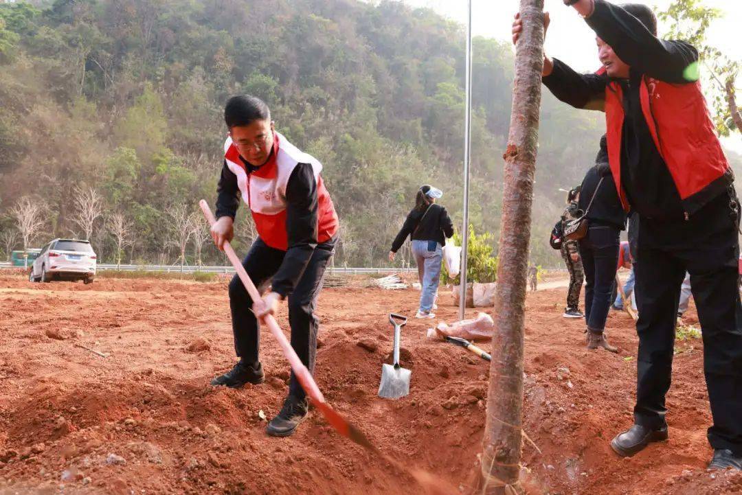 澜沧县开展党群携手植绿护绿共建共享绿美澜沧暨第46个植树节活动