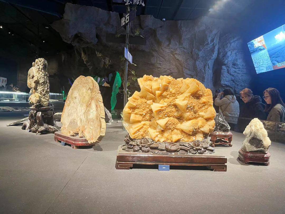 聆听亿万年前的心跳高阳宏利佳学校师生走进保定市古动物馆开展研学