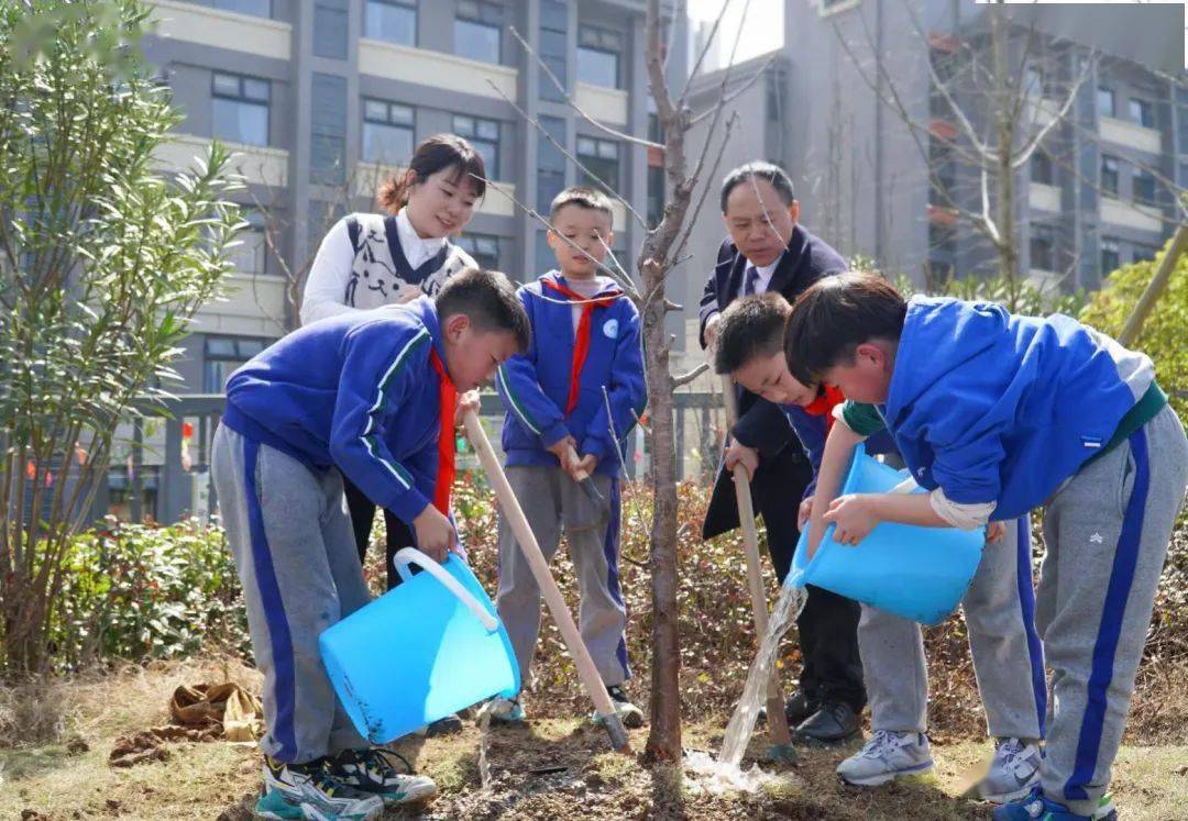 铜仁市宏雅实验中学组织师生开展"我为家乡捐棵树·同心共建春晖林"