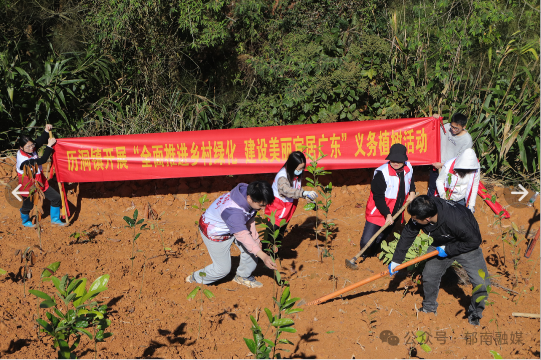 聚焦百县千镇万村高质量发展工程丨郁南不负春光植绿正当时