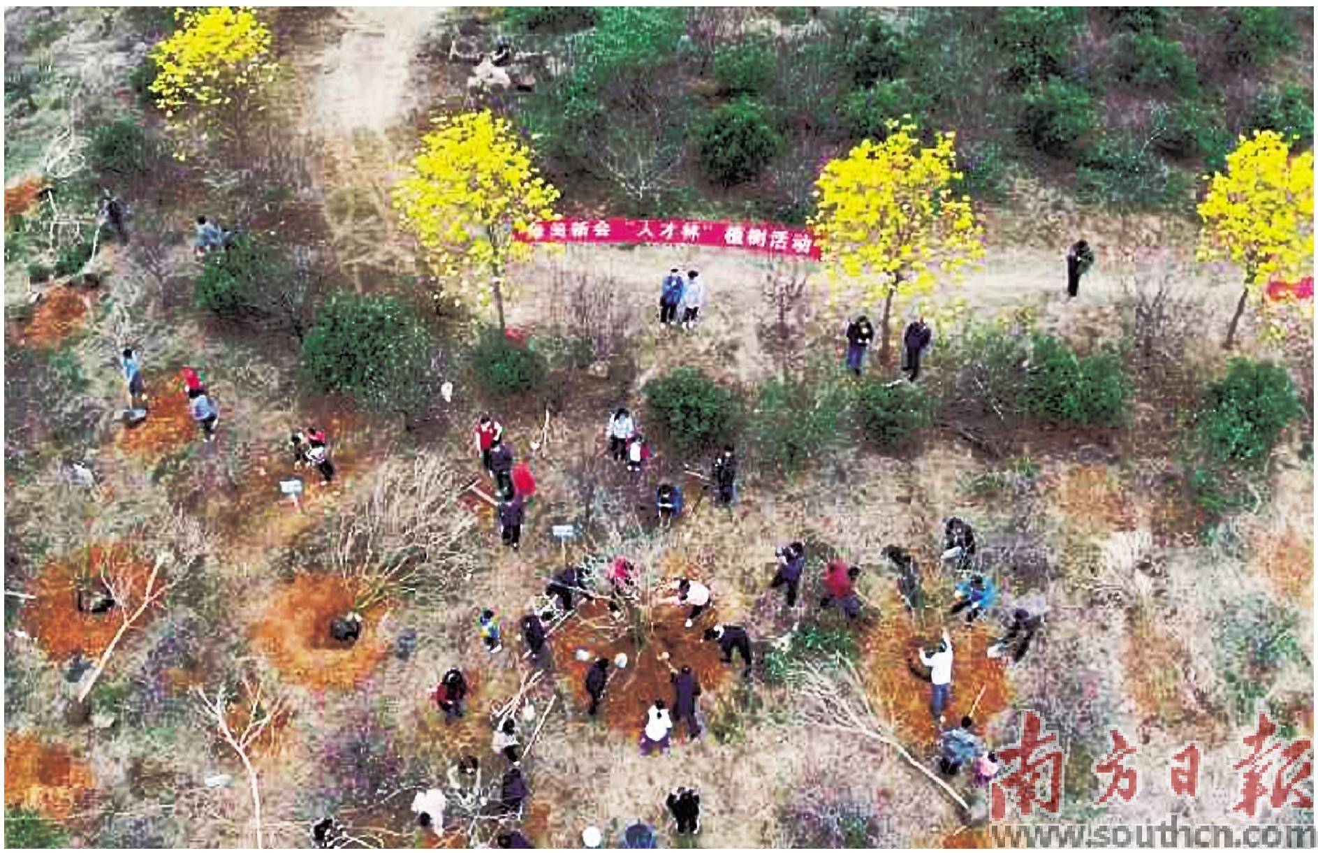 党群携手充植绘就绿美葵乡