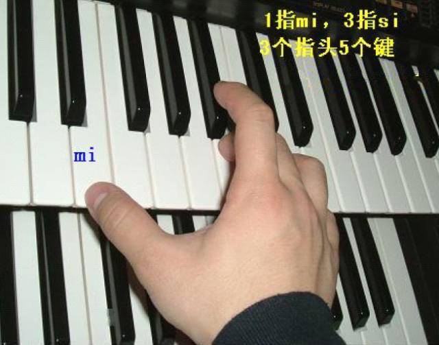 小毛驴钢琴右手指法图片