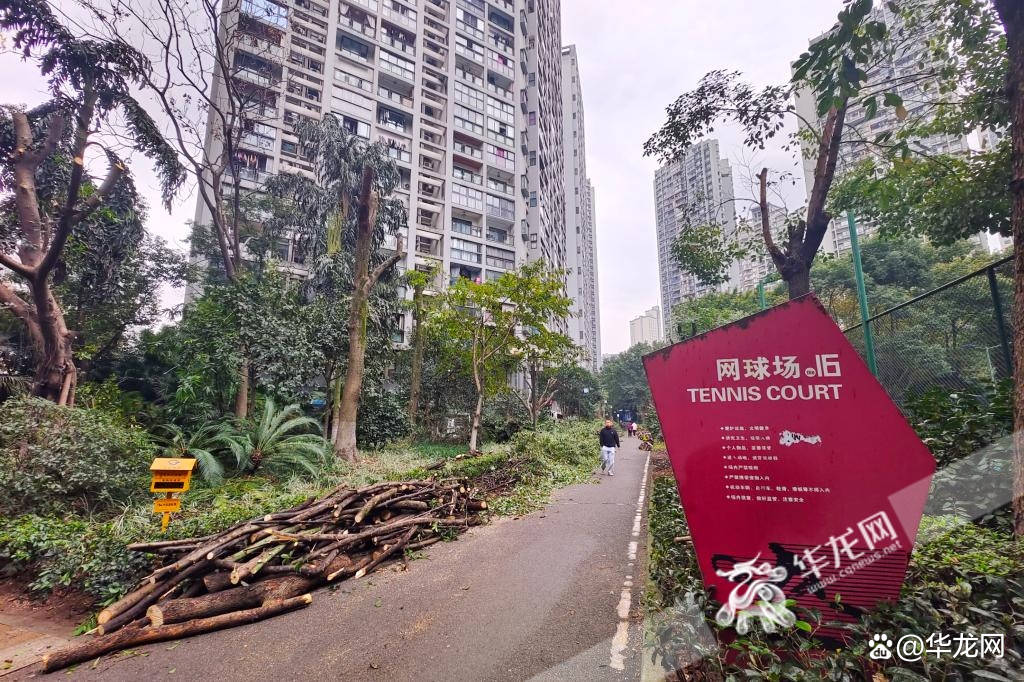 "3月12日是植树节,早晨8点左右,重庆上品十六小区传来嘈杂的电锯声和