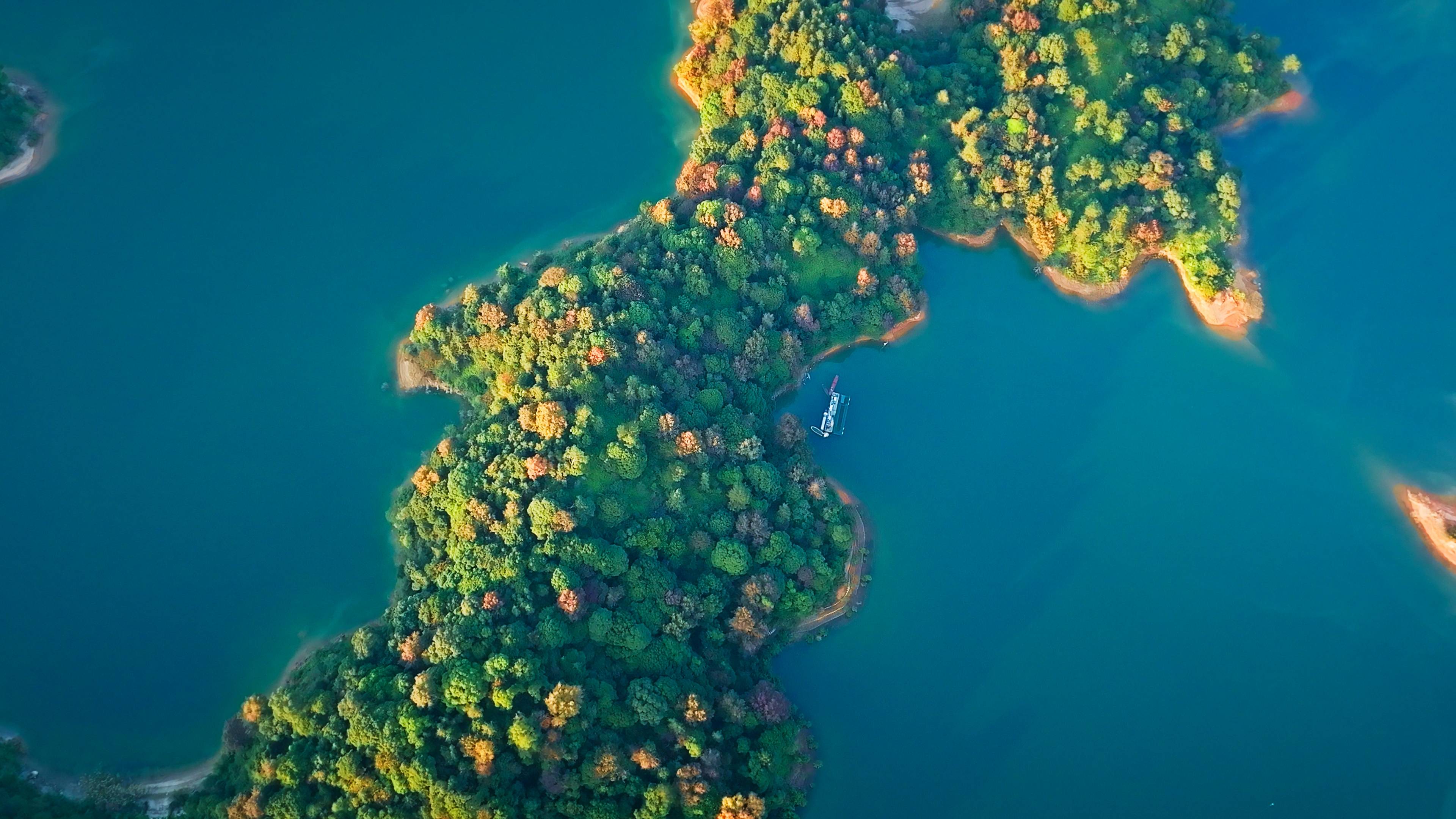 植树节,原来与广东渊源这么深_森林法_中国_我国