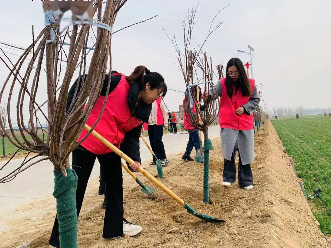 文明实践我行动北鱼乡举办义务植树活动
