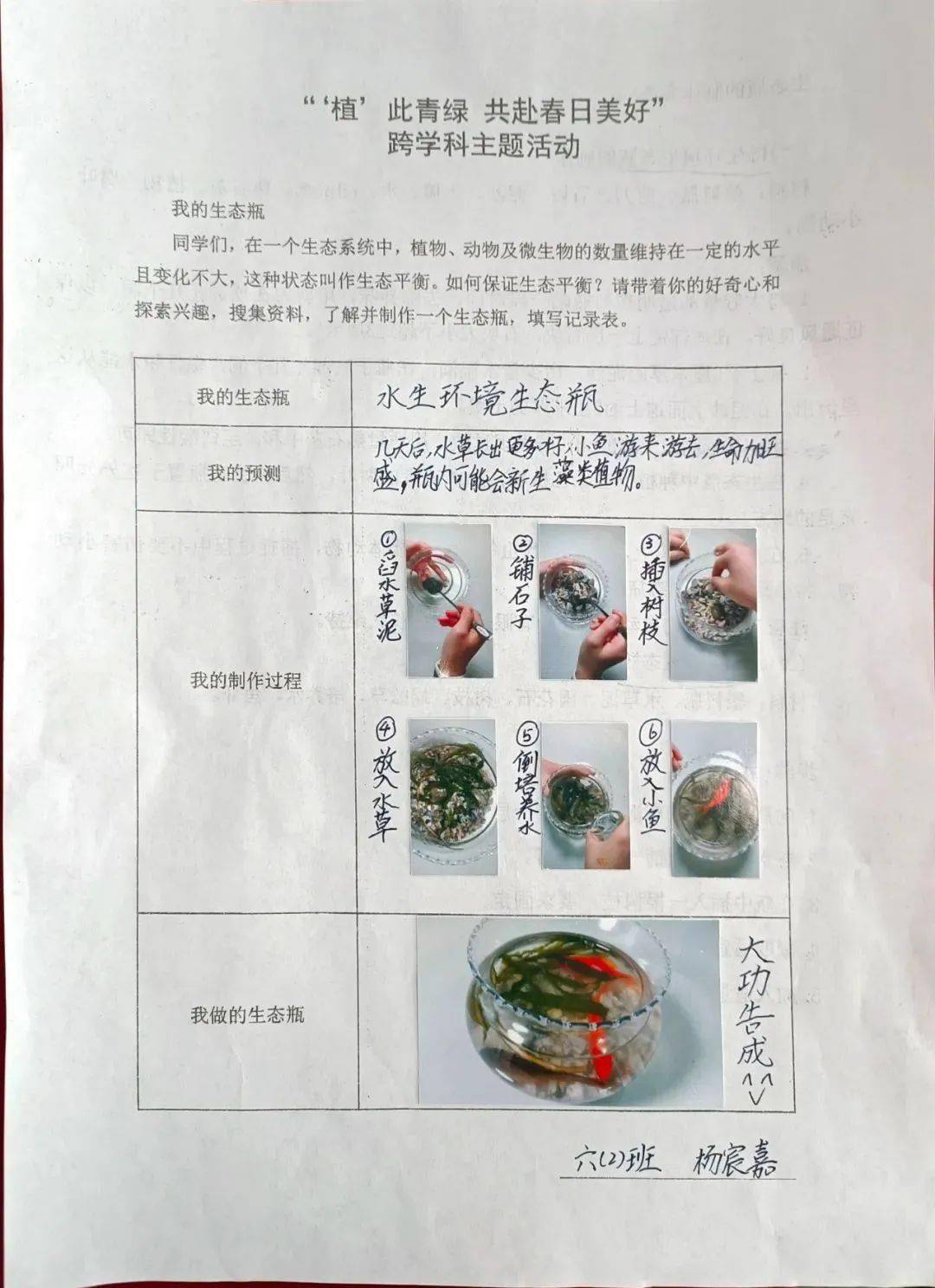 "植"此青绿,种下一个春天!