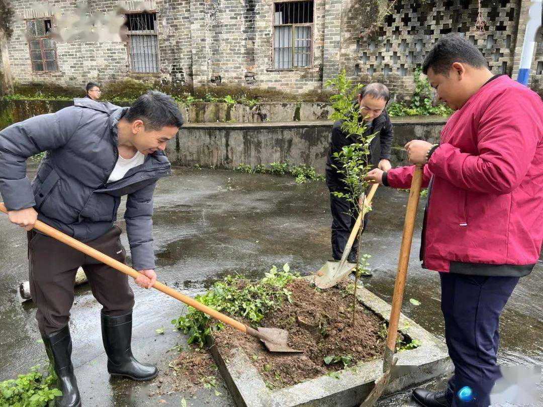 容县:为绿充"植"正当时,共赴好春光~_活动_灵山镇_组织