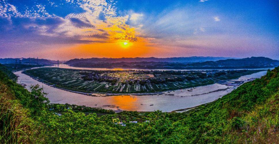 有奖征集邀你来设计中坝岛蔬菜logo标识啦