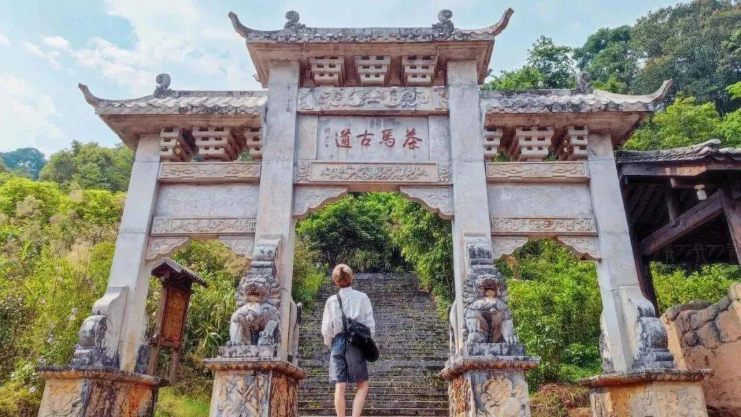 普洱茶马古道