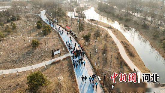 雷雪姣)3月10日,河北蠡县2024年春季迷你马拉松在该县湿地公园鸣枪开