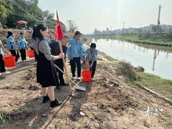 街道河岸乡村播绿点翠杨梅党群春日植树忙