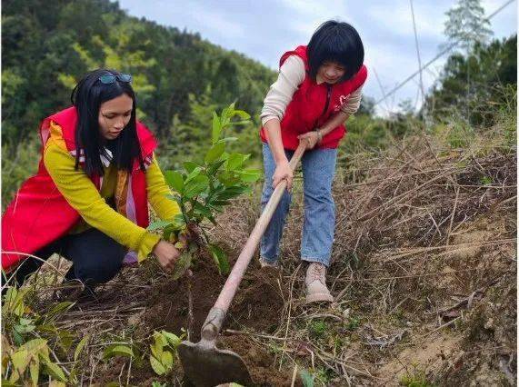 【同植幸福树 共建绿美家】乐昌市各级妇联组织开展"巾帼林"植树活动