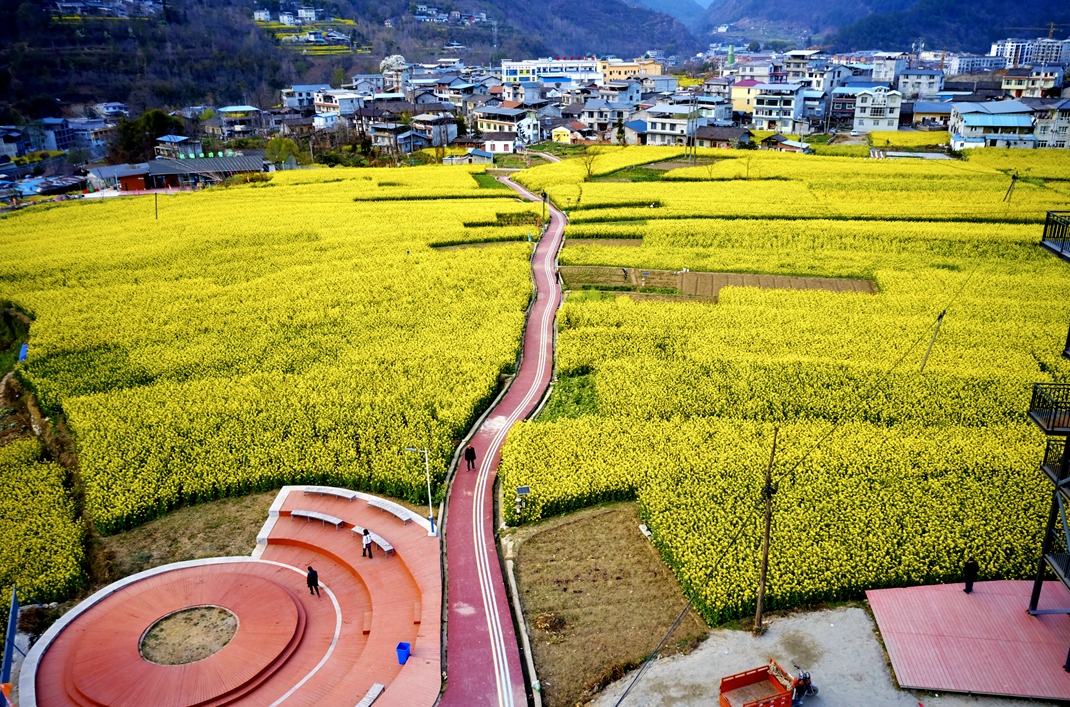 平武,已经进入花花花花花花世界(送福利)_绵阳_平武县_油菜花