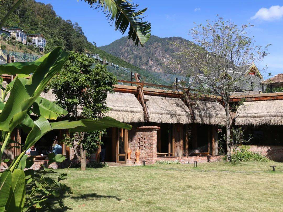 云南新一批精品咖啡庄园,你打卡了没?_市委宣传部_普洱_保山市