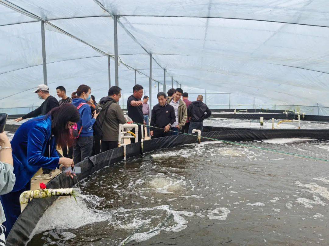 "拿好苗,严格调控水质,养殖用水均为海水且均经2次消毒3次过滤1次杀菌