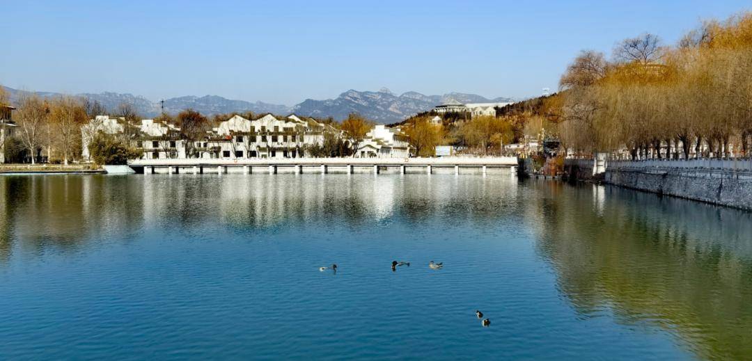 游龙门,赏春花,摘香椿,住美宿,品砂锅,赶大集,韩村河春游攻略来啦