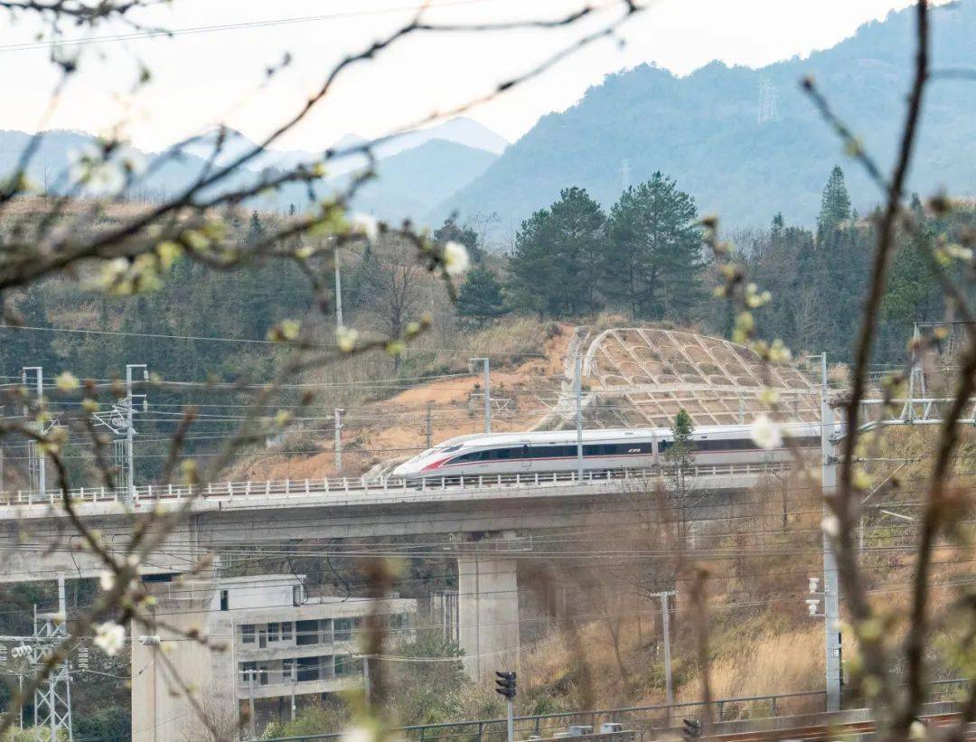 争当铁路好网民铁路铸就莫桑比克的经济运输生命线