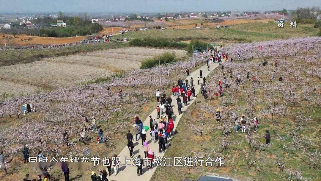三月下旬,六安第十六届桃花节将在狮子岗乡开幕!