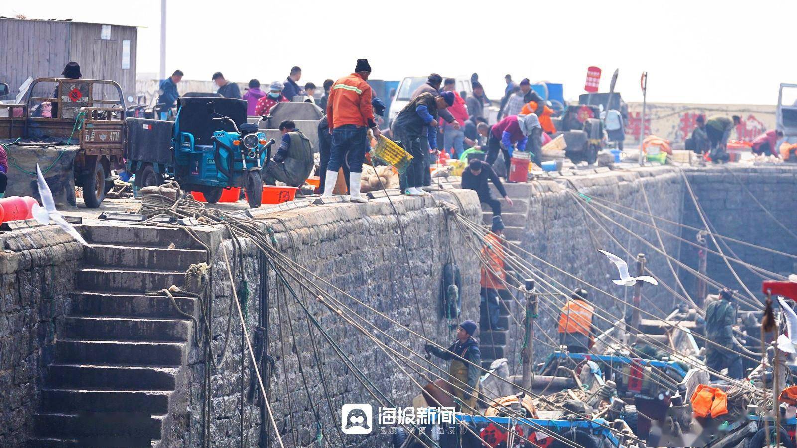 日照码头海鲜市场图片