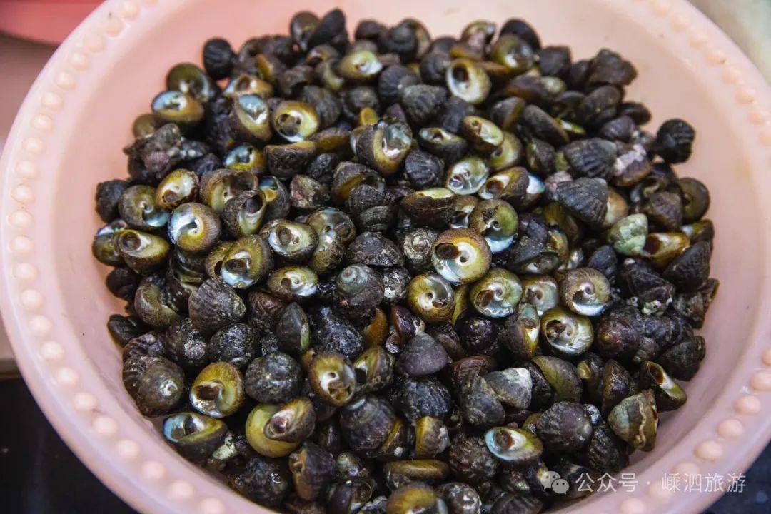 走赶海去春日小海鲜透骨鲜