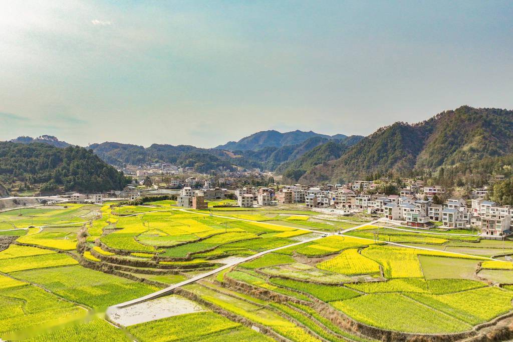 贵州省黔东南苗族侗族自治州三穗县长吉镇烧巴村的油菜花与乡村相映成