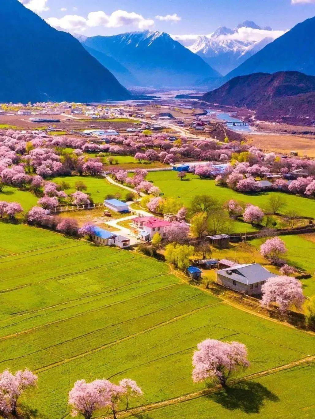 2024春日指南上3大主题27个春游目的地推荐