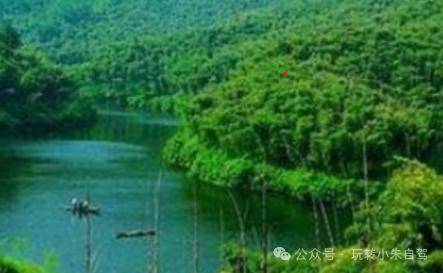 周末自驾202436月天然氧吧绿水青山安吉自驾2日游