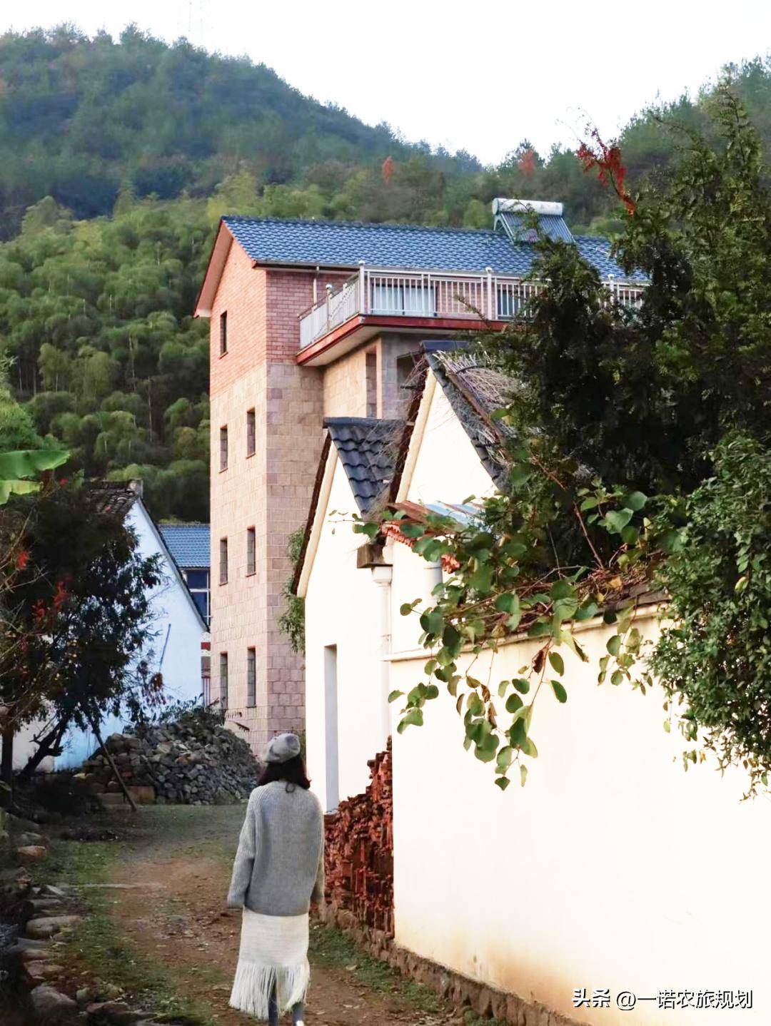 乡村振兴:这个小山村,以"国企 镇 村集体"模式_潭村_业态_建设