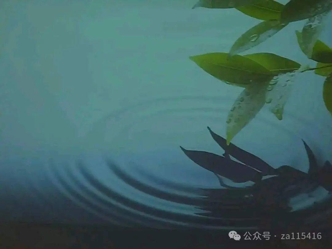 中国爱情诗刊第2886期江苏诗人安娟英的诗