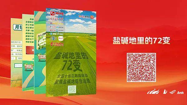 墙内开花墙外香大众网海报新闻两会报道故事