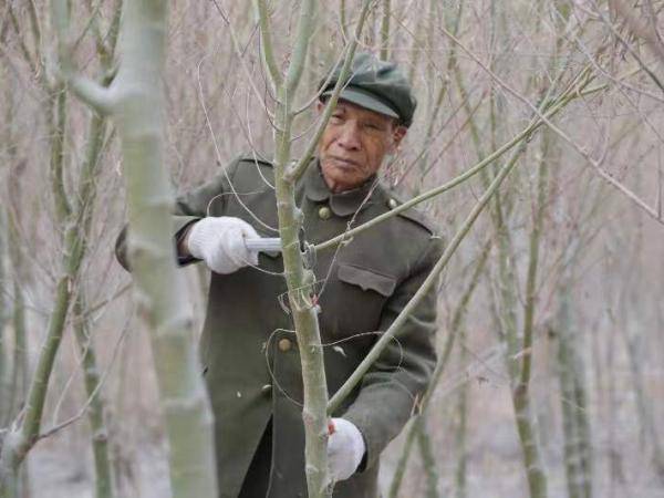 王成帮用劳动谱写梨城奋斗之歌