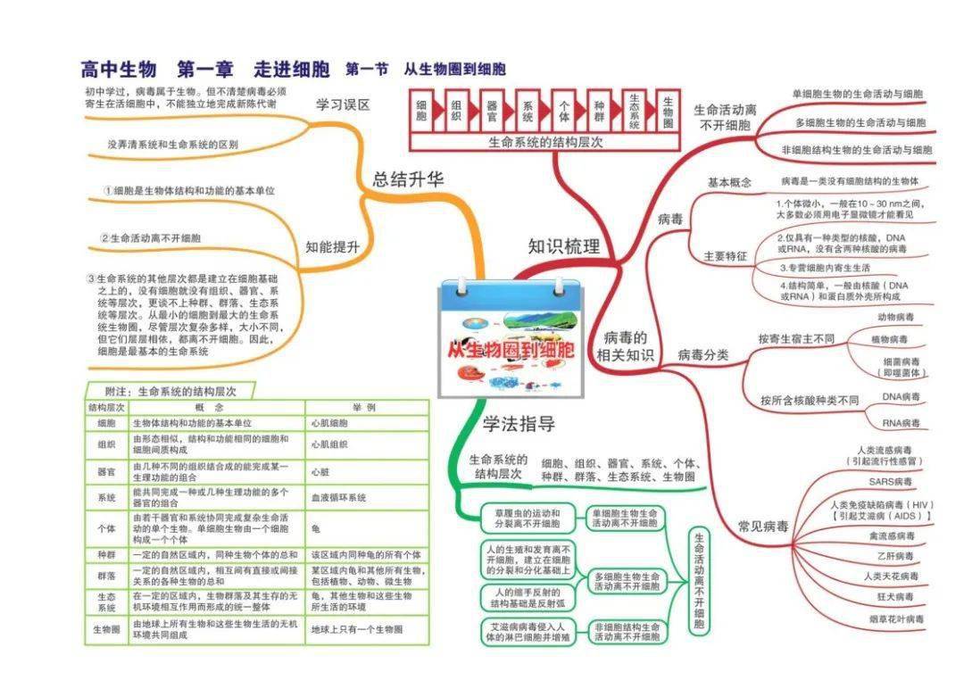 【高中生物】全套思维导图(高清版)