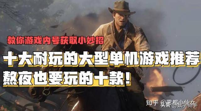 大型单机排行_十大耐玩的高人气大型单机游戏排行榜推荐