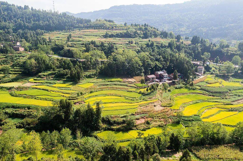 高标准农田建设拟激励名单公示这4地上榜