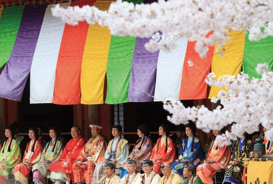 2024樱花季去京都看一场樱花祭
