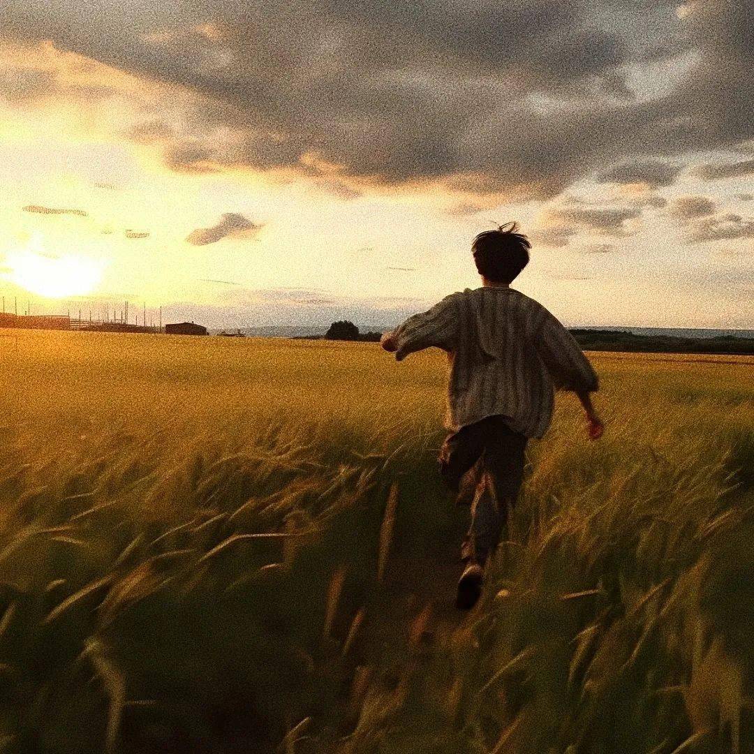 头像,踏入清风 坠入自由