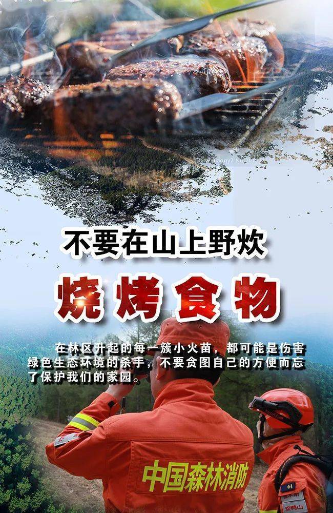67森林草原防火这些知识请掌握