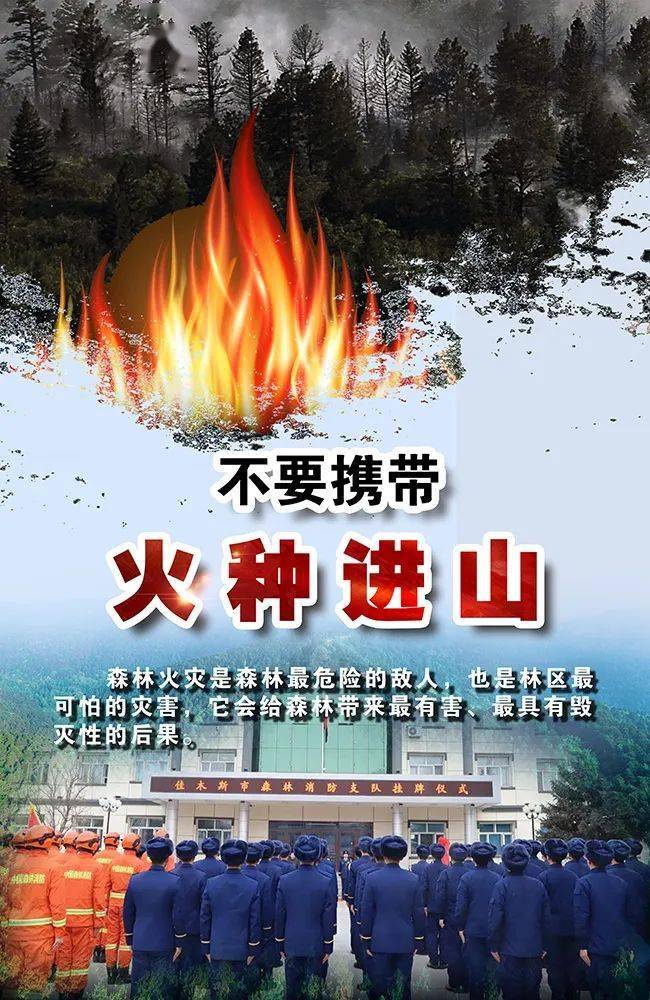 67森林草原防火这些知识请掌握