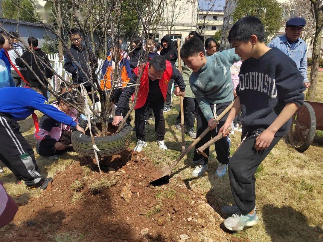 植树节活动③丨华墅小学:植此青绿 共树未来