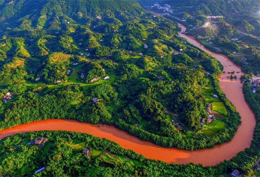 上春山茶花旅│来遵义赤晚饭攻略