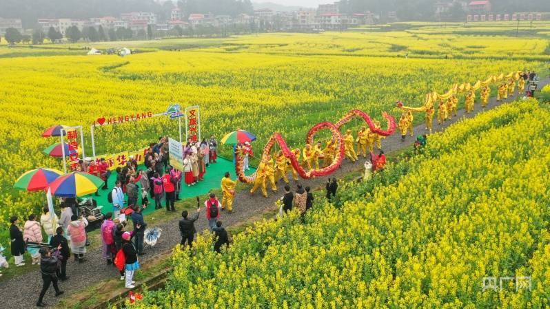 油菜花节主题活动图片