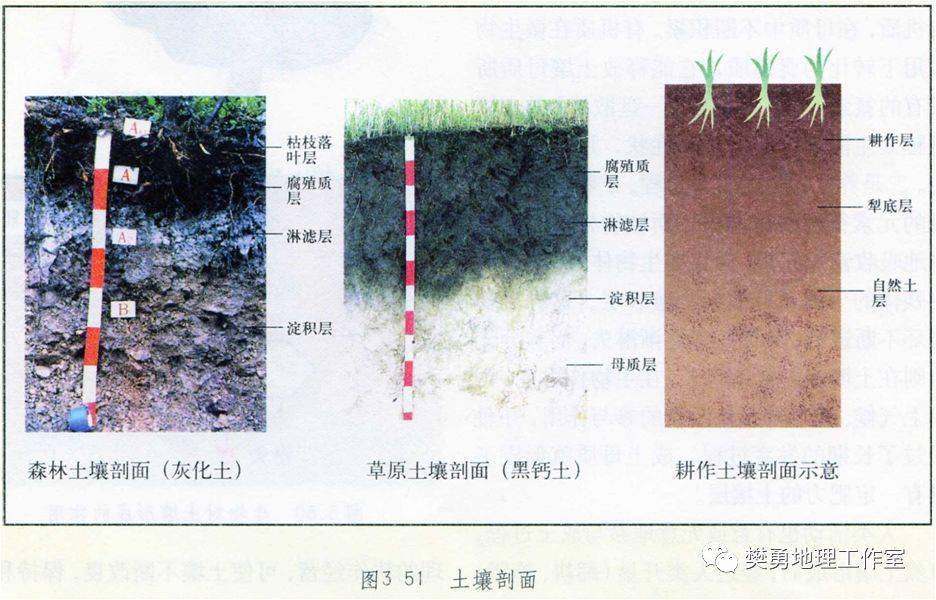才能使分散于岩石圈,水圈和大气圈的多种养分物质聚集于土壤之中,才能
