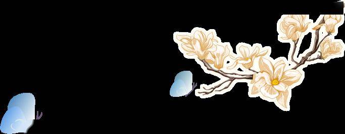 【五三61学生讲堂】长沙,韶山游记——基础学部2021级2班曹诗绮长沙