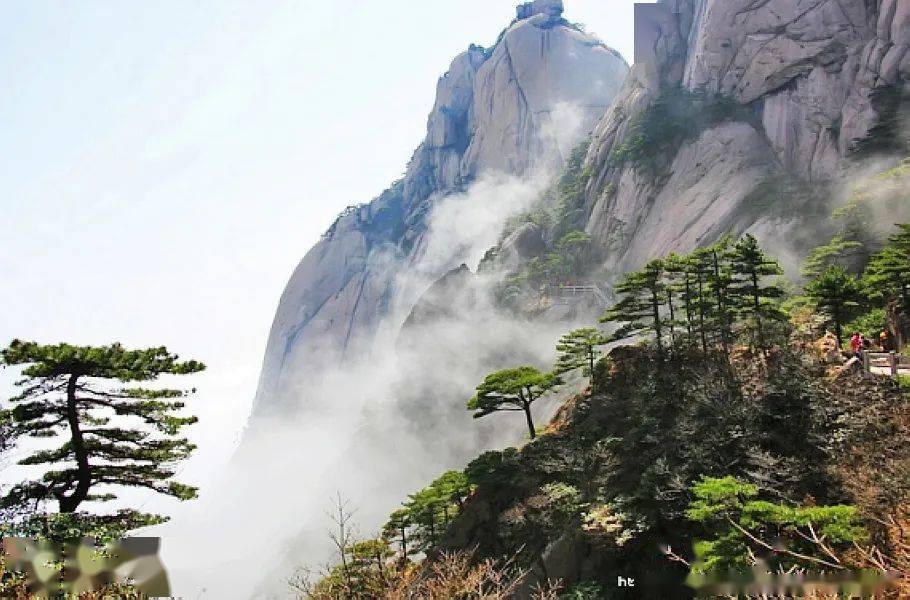 春游江南8醉黄山