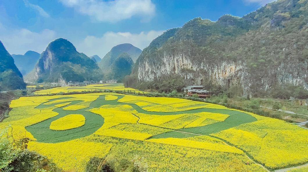 黄果树旅游区龙宫油菜花开邀你上春山